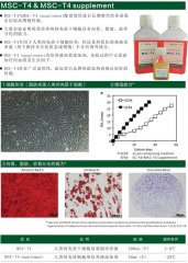 MSC-T4  無血清培養(yǎng)基
