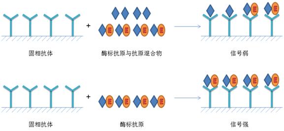 ELISA實驗原理及步驟