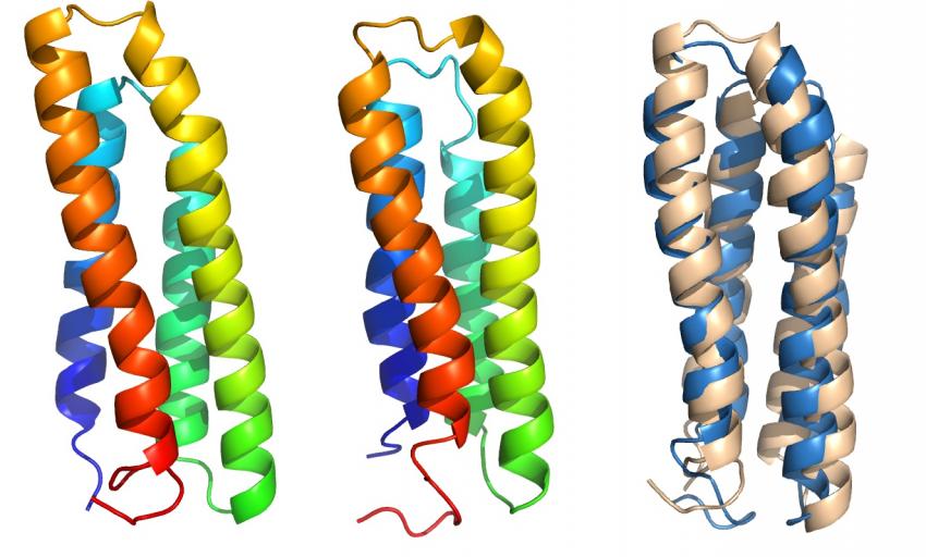 PNAS:細(xì)胞膜蛋白質(zhì)放棄自己的秘密 